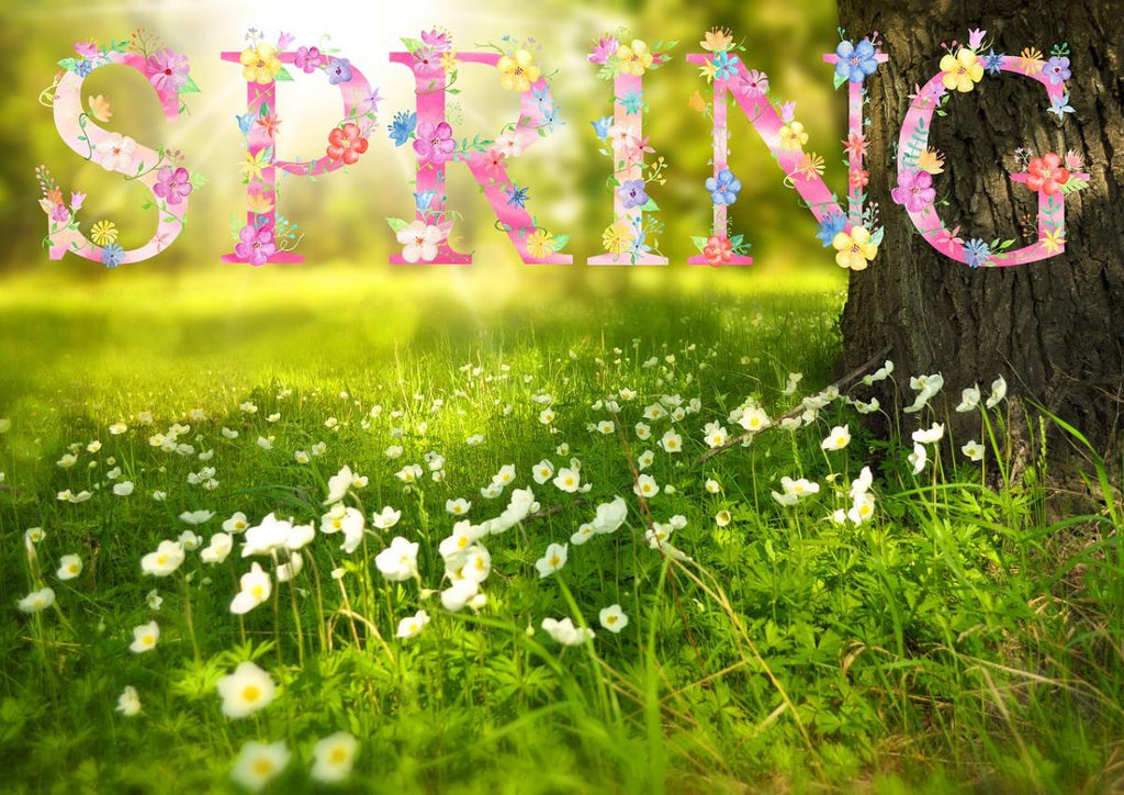 Spring Cleansing: Focus on Body, Mind & Spirit