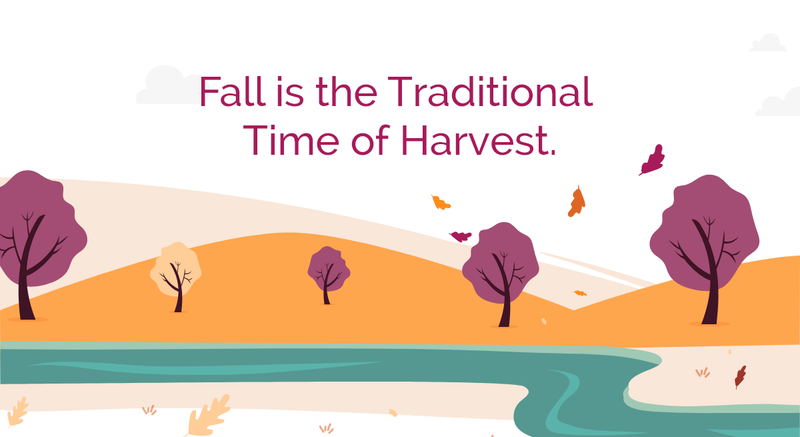 Fall Harvest - Optimizing Your Health